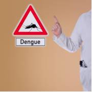 É possível acabar com a dengue