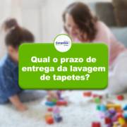QUAL O PRAZO DE ENTREGA DA LAVAGEM DE TAPETE?