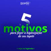 5 motivos para fazer a higienização do seu tapete
