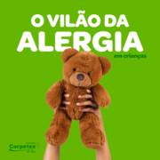 Bichos de pelúcia precisam ser lavados