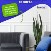 4 vantagens de higienizar o seu tapete!