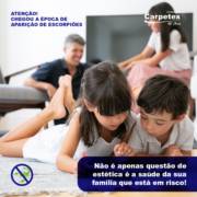 SURGIMENTO DE ESCORPIÃO EM AMBIENTE DOMÉSTICO