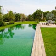 Saiba como limpar uma piscina com água verde