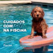 3 cuidados que você deve ter com o seu pet na pisicna