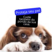 QUAL O MELHOR PORTÃO PARA QUEM TEM PETS EM CASA?