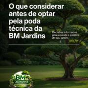 O que considerar antes de optar pela poda técnica da BM Jardins