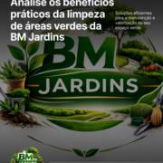 Analise os benefícios práticos da limpeza de áreas verdes da BM Jardins