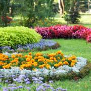 Jardins planejados em Jaboticabal: beleza e praticidade