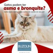 Gatos também tem asma? Sim!