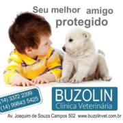 Novidades