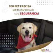 Seu pet precisa ser transportado com segurança!