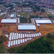 ABQM traz novidades ao 40º Potro do Futuro em Araçatuba (SP)