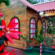 Prefeitura Lança Natal Iluminado 2019 nesta sexta-feira
