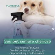 Seu pet sempre cheiroso | Via Aroma Pet Care