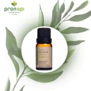 Descubra o Poder Revigorante do Óleo Essencial de Limão Tahiti Via Aroma: Energize sua Vida!