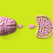 Conheça a relação entre microbiota intestinal, envelhecimento e suplementação com probióticos