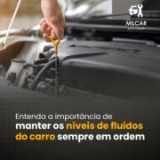 Você sabe a Importância de manter os níveis de fluidos sempre em ordem?