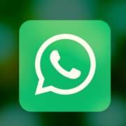 Como falar com as empresas de Mineiros pelo WhatsApp.