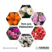 Especial FEINAGRO 2019 Dia 02 - Confira a programação completa.
