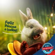 Feliz Páscoa!