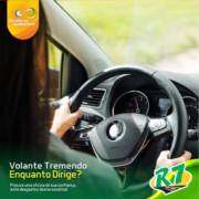 Volante tremendo enquanto dirige?