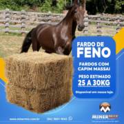 Nutrição de Primeira para Seus Animais: Compre Fardos de Feno na Minermix em Mineiros!