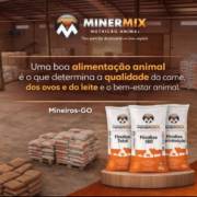 Alimentar bem é lucrar melhor: o básico que dá resultado