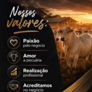 Nossos princípios começam antes do produto chegar até você