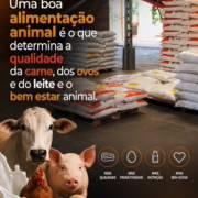 O que vai para o cocho faz diferença em tudo que vem depois
