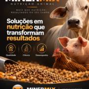 Soluções em nutrição animal que transformam os resultados no campo
