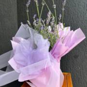 Lavanda natural: beleza, perfume e bem-estar para o seu ambiente