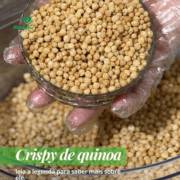 Crispy de quinoa: crocância saudável para o seu dia a dia