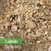 Lúpulo: Um Ingrediente Diferente Para Quem Gosta de Novas Experiências