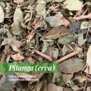Folha de Pitanga: Uma Opção Diferente para Variar seus Chás