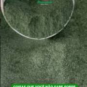 Spirulina: o pequeno ingrediente que pode transformar sua rotina