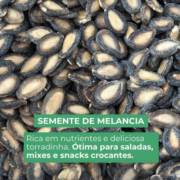Semente de melancia: pequena no tamanho, grande nos benefícios