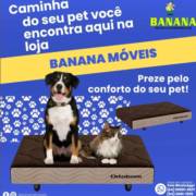Venha já para o Banana Móveis em Mineiros e garanta as mais confortáveis caminhas para o seu pet!