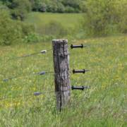 Para que serve uma cerca elétrica rural?