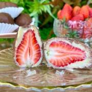 Morango com chocolate: uma combinação impossível de resistir!