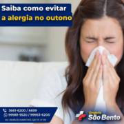 Saiba como evitar a alergia no outono