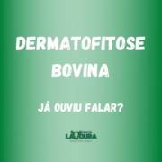 Dermatofitose Bovina, já ouviu falar?