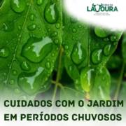 Cuidados com o seu jardim em dias chuvosos!