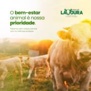 O bem estar animal é a nossa prioridade!