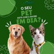 O Seu Pet Está com a Saúde em Dia?