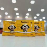 Você já conhece a coleira antiparasitária Scalibur?