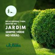 Confira as Dicas da Casa da Lavoura em Mineiros para um Jardim Sempre Verde no Verão!