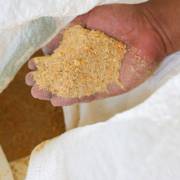 Alimentação ideal para suas aves