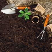 Tudo para um jardim bonito e bem cuidado