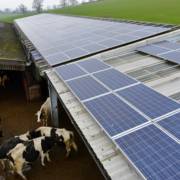 À medida em que a geração distribuída avança, as inúmeras fazendas e propriedades rurais do país ganham um aliado iluminado para reduzir despesas com energia elétrica.