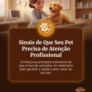 Sinais de Que Seu Pet Precisa de Atenção Profissional